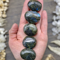 Labradorite Palm Stone $12